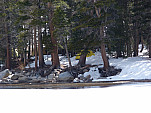 P1110409.jpg: 4320x3240, 5808k (April 12, 2013, at 03:10 AM)
