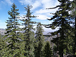 P1110497.jpg: 4320x3240, 5345k (April 15, 2013, at 01:02 AM)
