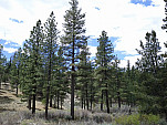 IMG_20130512_122427.jpg: 2560x1920, 2024k (June 08, 2013, at 03:29 AM)