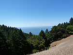 P1120054.jpg: 4320x3240, 5377k (June 08, 2013, at 03:38 AM)