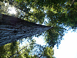 P1120222.jpg: 4320x3240, 6021k (June 09, 2013, at 07:55 PM)
