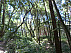 P1120220.jpg: 4320x3240, 5770k (June 09, 2013, at 07:55 PM)