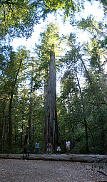 stitch1.jpg: 3744x6392, 9205k (June 17, 2013, at 06:25 AM)