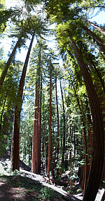 stitch0.jpg: 3420x6534, 8219k (June 17, 2013, at 06:25 AM)