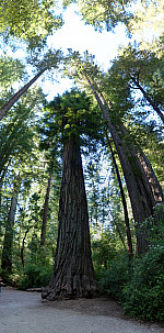 stitch3.jpg: 3393x6850, 8474k (June 17, 2013, at 06:25 AM)