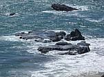 P1120500.jpg: 4320x3240, 5401k (July 01, 2013, at 07:16 AM)