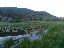 P1120753.jpg: 4320x3240, 5823k (August 15, 2013, at 07:32 AM)