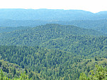 P1130543.jpg: 4320x3240, 5763k (August 16, 2013, at 08:32 AM)