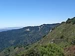 P1130579.jpg: 4320x3240, 5344k (August 16, 2013, at 08:32 AM)