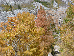 P1140453.jpg: 4320x3240, 5680k (October 15, 2013, at 07:35 AM)
