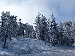 P1140913.jpg: 4320x3240, 5348k (December 08, 2013, at 11:34 AM)