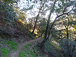 P1150588.jpg: 4320x3240, 5584k (April 07, 2014, at 08:05 AM)