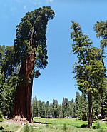 stitch0.jpg: 2928x3609, 3717k (April 29, 2015, at 10:00 PM)