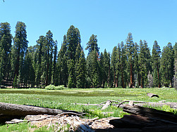 P1160005.jpg: 4320x3240, 5728k (April 29, 2015, at 09:59 PM)