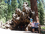 P1160432.jpg: 4320x3240, 5613k (May 01, 2015, at 02:26 AM)