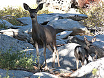 P1220265.jpg: 4320x3240, 5889k (October 31, 2014, at 08:31 AM)