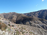P1220345.jpg: 4320x3240, 5596k (November 08, 2014, at 02:36 AM)