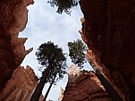 P1230464.jpg: 4320x3240, 5608k (April 25, 2015, at 02:07 AM)