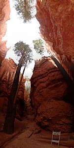 WallStreet-stitch0.jpg: 3900x7752, 8228k (April 25, 2015, at 02:09 AM)