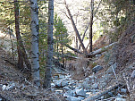 P1230636.jpg: 4320x3240, 5657k (February 10, 2015, at 09:00 AM)