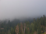 P1230647.jpg: 4320x3240, 5266k (February 10, 2015, at 09:01 AM)