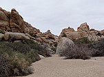 P1240548.jpg: 4320x3240, 5305k (April 04, 2015, at 11:11 PM)