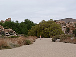 P1240593.jpg: 4320x3240, 5766k (April 04, 2015, at 11:13 PM)