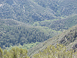 P1250016.jpg: 4320x3240, 5406k (April 24, 2015, at 11:20 PM)