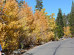 P1260831.jpg: 4320x3240, 5809k (October 13, 2015, at 11:24 PM)