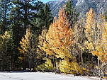 P1260876.jpg: 4320x3240, 5748k (October 13, 2015, at 11:25 PM)