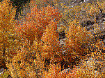 P1260884.jpg: 4320x3240, 5968k (October 13, 2015, at 11:26 PM)