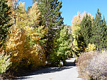 P1260891.jpg: 4320x3240, 5691k (October 13, 2015, at 11:26 PM)