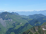 P1340949.jpg: 4320x3240, 5140k (June 18, 2017, at 03:45 PM)