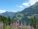 P1360301.jpg: 4320x3240, 5852k (July 22, 2017, at 08:30 PM)