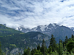P1360302.jpg: 4320x3240, 5230k (July 22, 2017, at 08:31 PM)