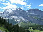 P1360840.jpg: 4320x3240, 5236k (July 30, 2017, at 05:58 PM)